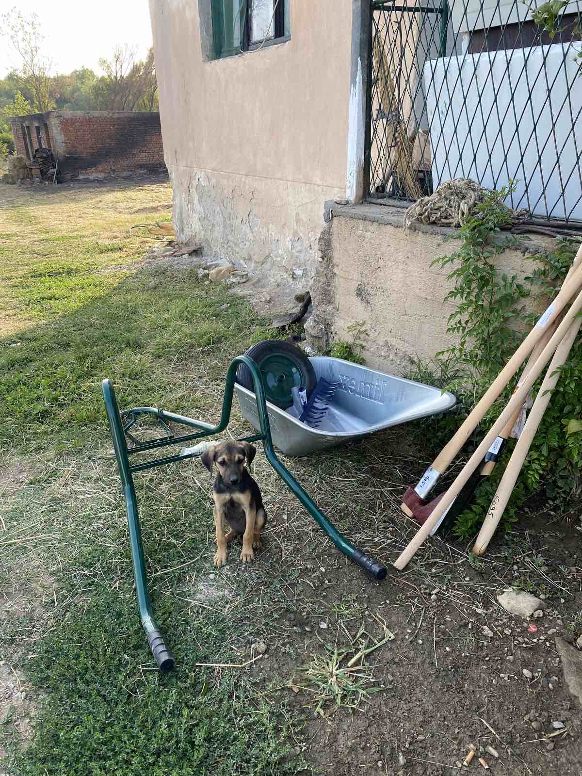 viber_image_2025-08-30_13-41-39-973